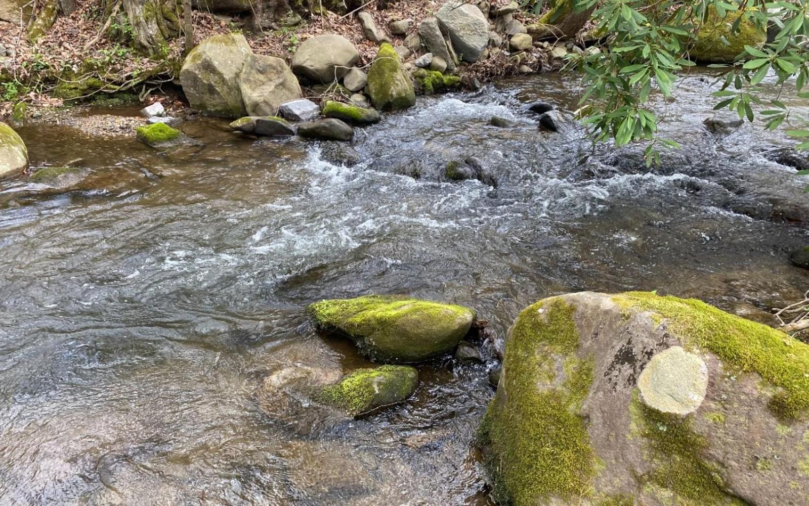 Shady Creek Villa Gatlinburg Kültér fotó